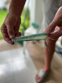 a man holding a piece of a fish hook